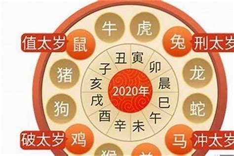 2024虎年運程1974|1974年属虎人2024年运势及运程详解 74年出生50岁生肖虎2024年。